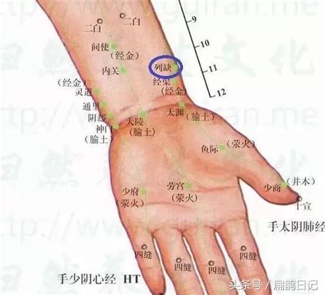 列決穴位